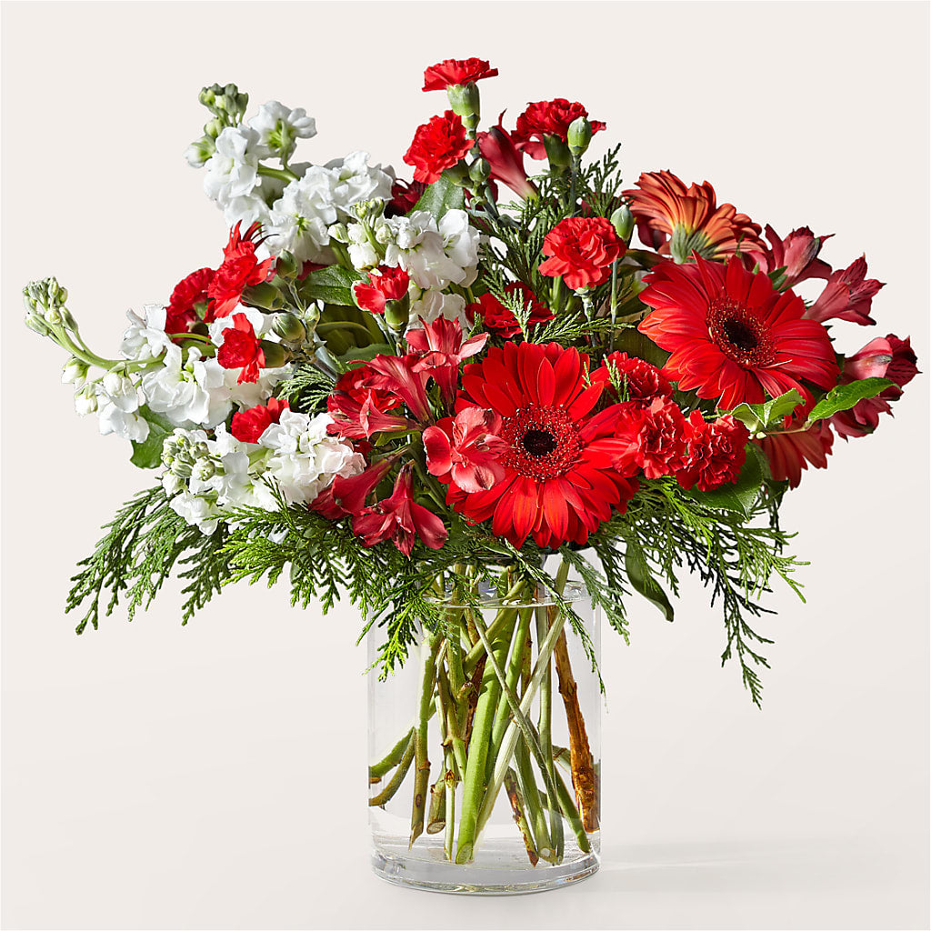 Holidaisy Bouquet – At All About Flowers Llc, Cincinnati OH