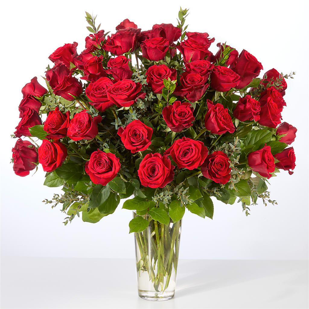 Forever Yours Fifty Stem Red Rose Bouquet – At All About Flowers Llc, Cincinnati OH