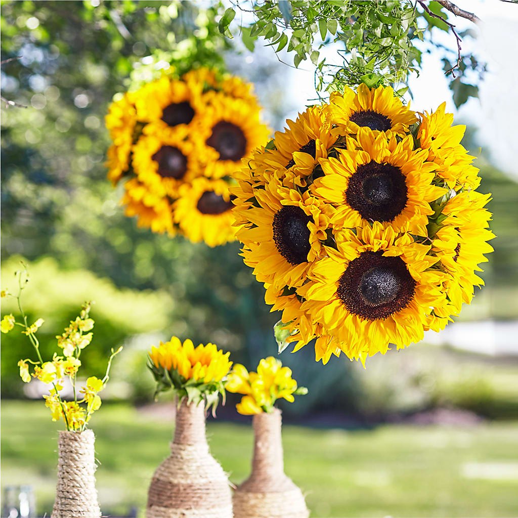 Sublime Garden Hanging Arrangement – At All About Flowers Llc, Cincinnati OH