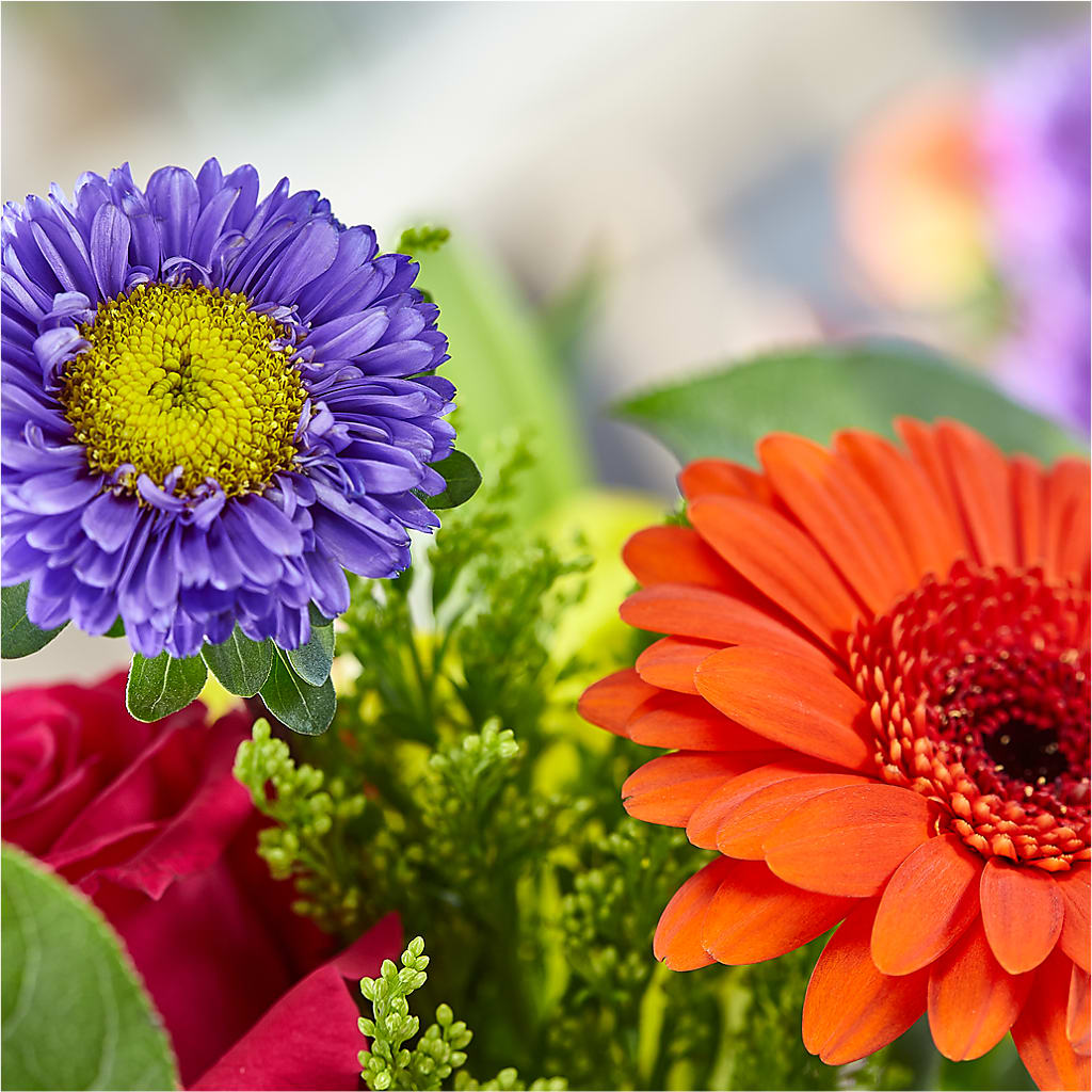 Bold & Bright – A Florist Original –  At All About Flowers Llc, Cincinnati OH