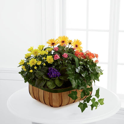 Gentle Blossoms Basket –  At All About Flowers Llc, Cincinnati OH