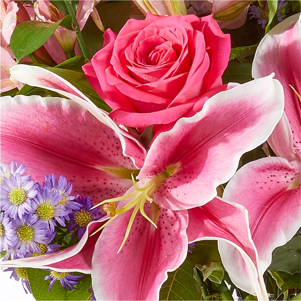 Written in the Stars Bouquet –  At All About Flowers Llc, Cincinnati OH