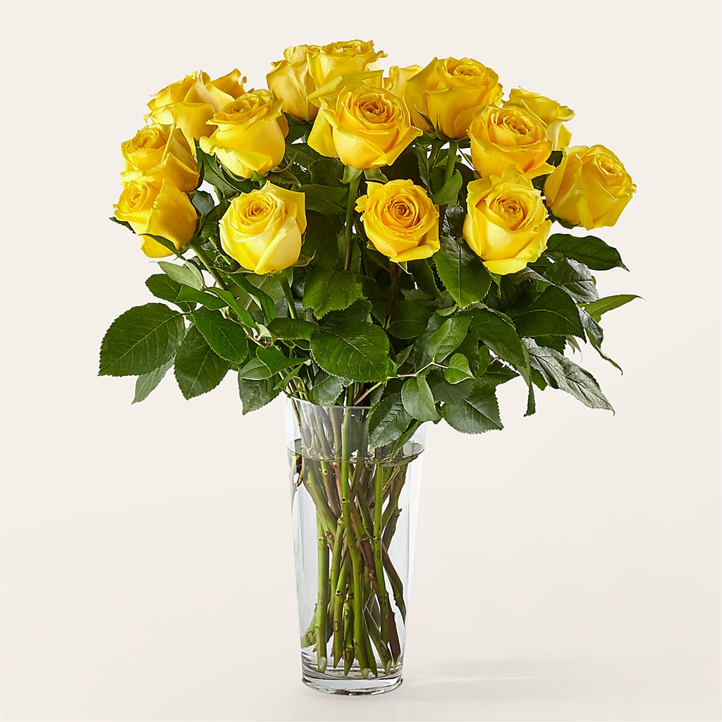 Long Stem Yellow Rose Bouquet –  At All About Flowers Llc, Cincinnati OH