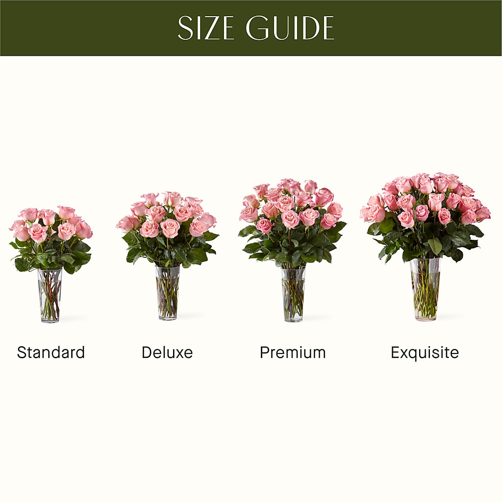 Long Stem Pink Rose Bouquet –  At All About Flowers Llc, Cincinnati OH