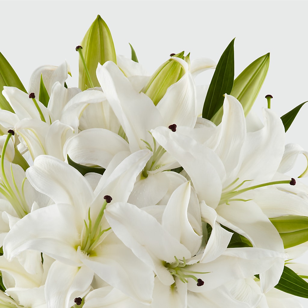 Faithful Blessings Bouquet –  At All About Flowers Llc, Cincinnati OH