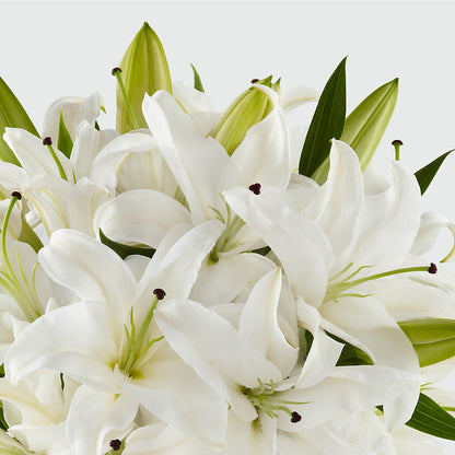 Faithful Blessings Bouquet –  At All About Flowers Llc, Cincinnati OH