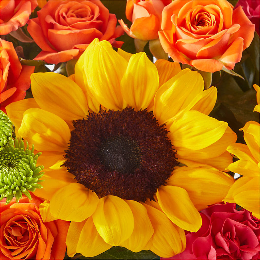 Sun-drenched Blooms Box Bouquet –  At All About Flowers Llc, Cincinnati OH