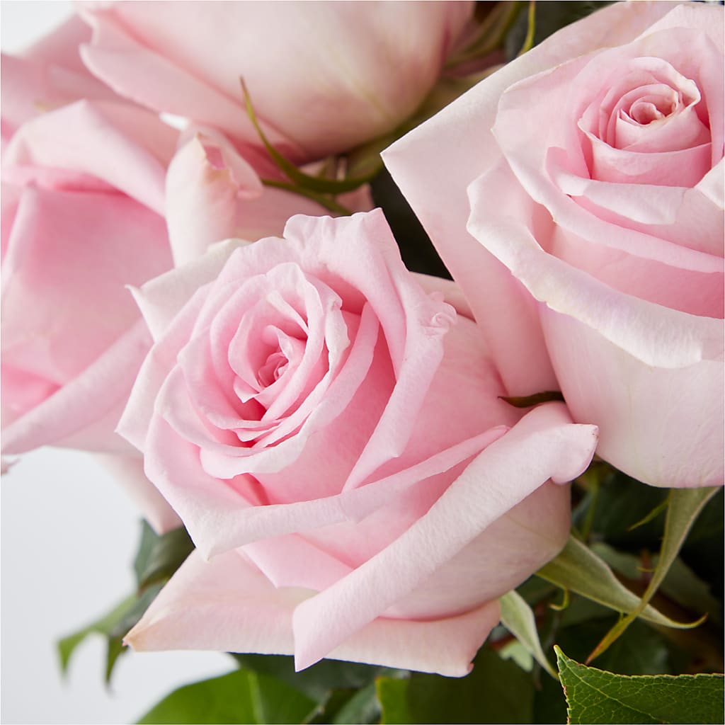 Picture Perfect Pink Rose Bouquet –  At All About Flowers Llc, Cincinnati OH