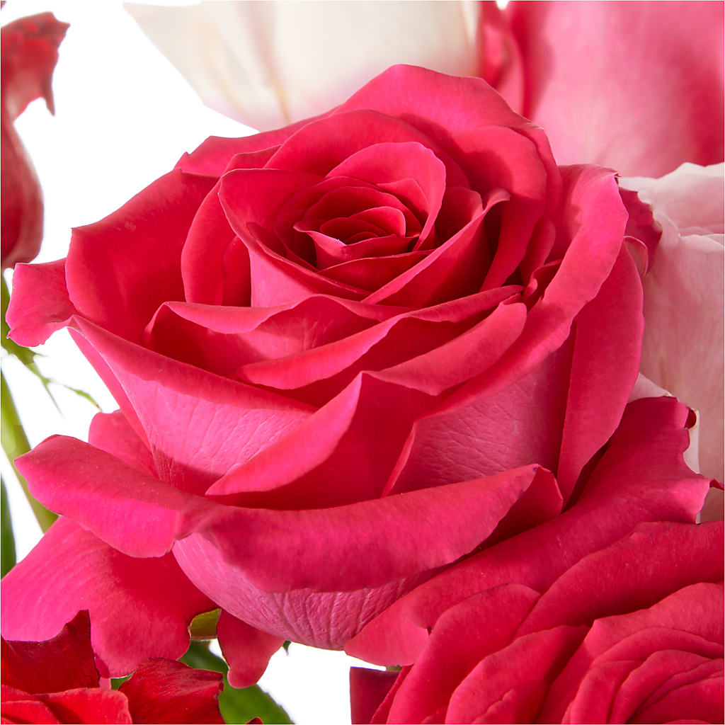 Love Notes Rose Bouquet –  At All About Flowers Llc, Cincinnati OH