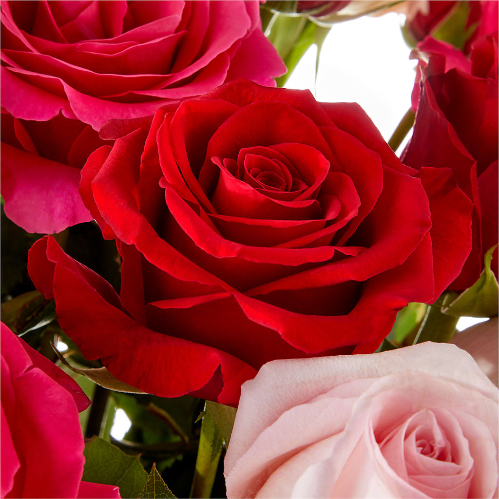 Love Notes Rose Bouquet –  At All About Flowers Llc, Cincinnati OH