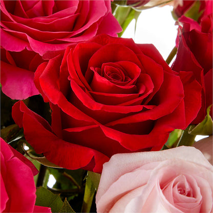 Love Notes Rose Bouquet –  At All About Flowers Llc, Cincinnati OH