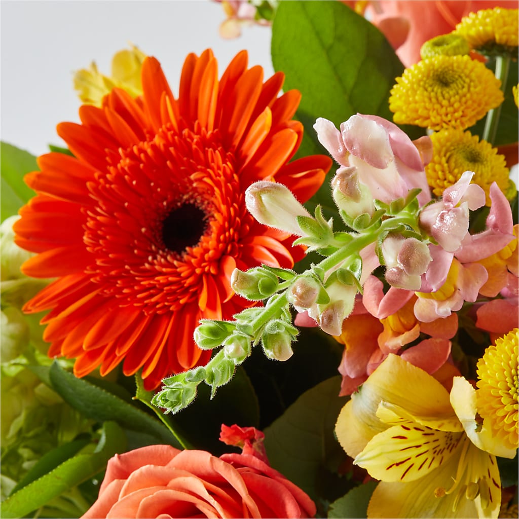 Autumn Sunshine Bouquet –  At All About Flowers Llc, Cincinnati OH