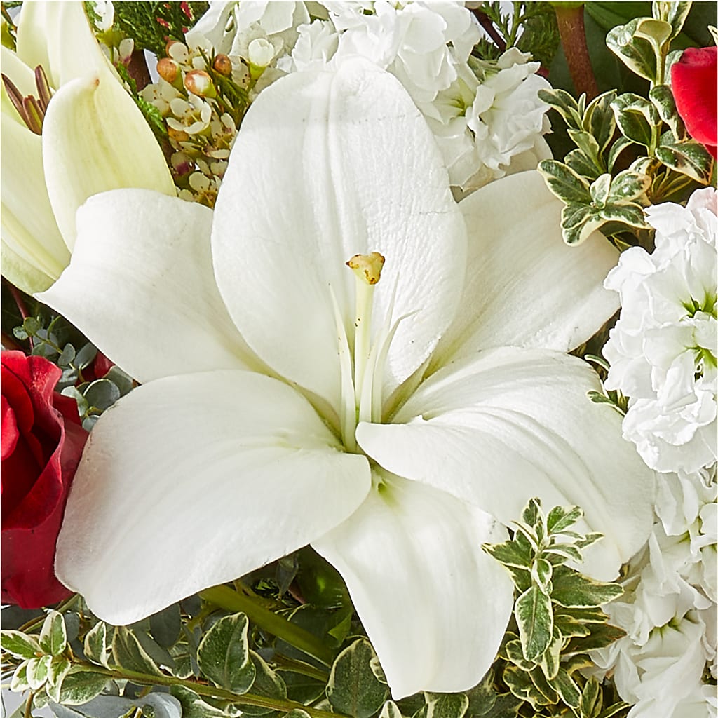 Twinkle Lights Bouquet –  At All About Flowers Llc, Cincinnati OH