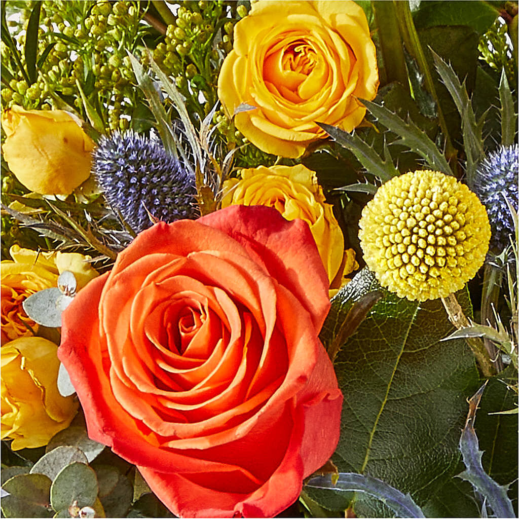 Disco Bouquet –  At All About Flowers Llc, Cincinnati OH