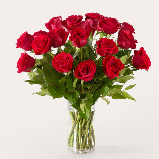 The One Red Rose Bouquet –  At All About Flowers Llc, Cincinnati OH