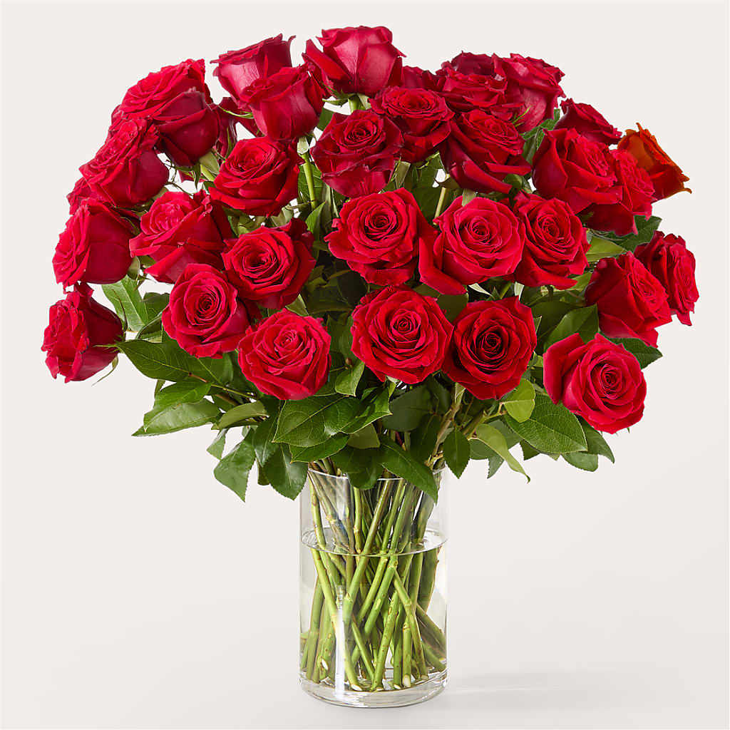The One Red Rose Bouquet –  At All About Flowers Llc, Cincinnati OH