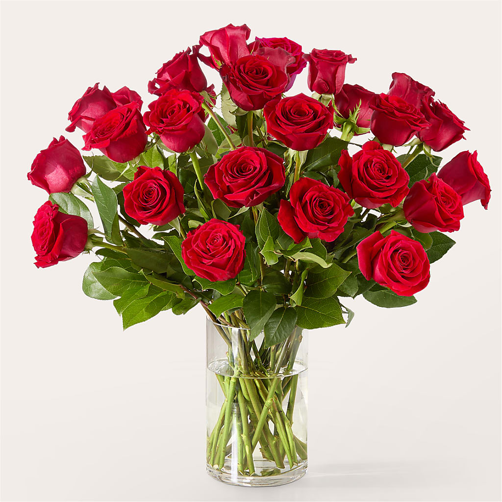The One Red Rose Bouquet –  At All About Flowers Llc, Cincinnati OH
